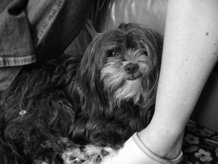 Lizenn       14/06/2003 - 19/02/2007       je t'aime